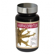 Гарпагофітум Зняття болю та запалення суглобів Nutriexpert HARPAGOPHYTUM, 60 капсул - Фото №1